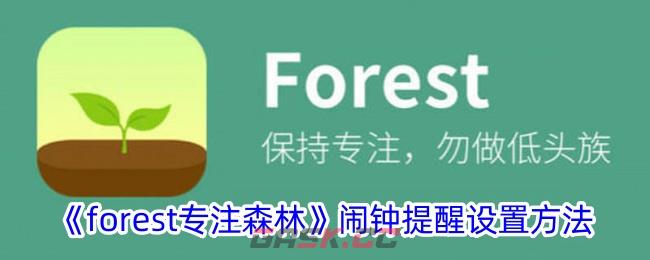 《forest专注森林》闹钟提醒设置方法-第1张-手游攻略-GASK