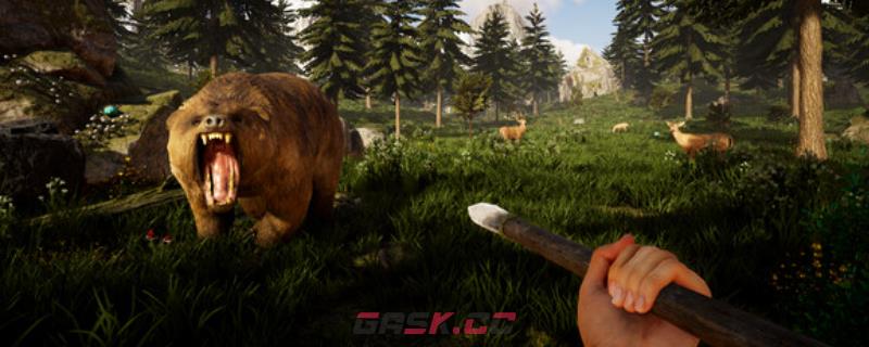 《维京边境》游戏配置要求介绍-第1张-单机攻略-GASK