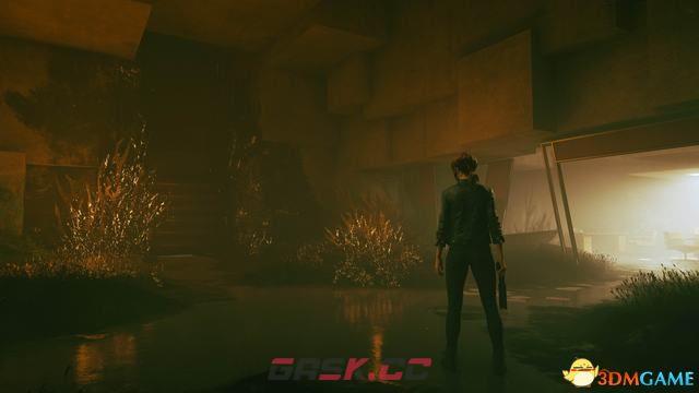 《控制》全剧情流程全支线图文攻略 全隐藏地点全收集攻略-第9张-单机攻略-GASK