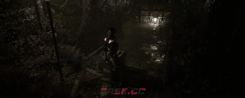 《生者回声》游戏配置要求介绍-第1张-单机攻略-GASK