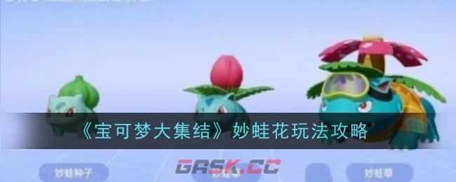 《宝可梦大集结》妙蛙花玩法攻略