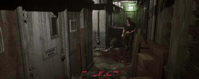 《生者回声》游戏官网地址介绍-第1张-单机攻略-GASK