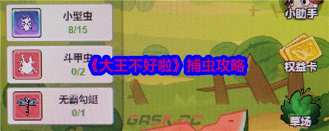 《大王不好啦》捕虫攻略-第1张-手游攻略-GASK
