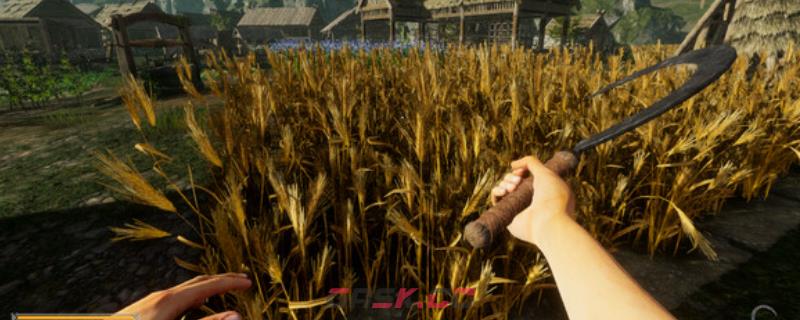 《维京边境》游戏官网地址介绍-第1张-单机攻略-GASK