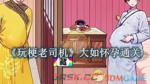 《玩梗老司机》大如怀孕怎么过