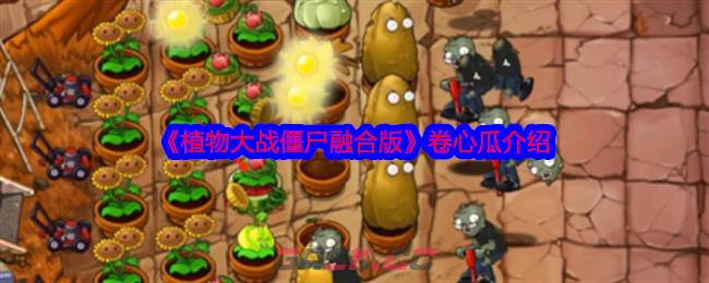 《植物大战僵尸融合版》卷心瓜介绍