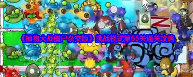 《植物大战僵尸杂交版》挑战模式第65关通关攻略