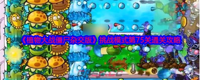 《植物大战僵尸杂交版》挑战模式第75关通关攻略