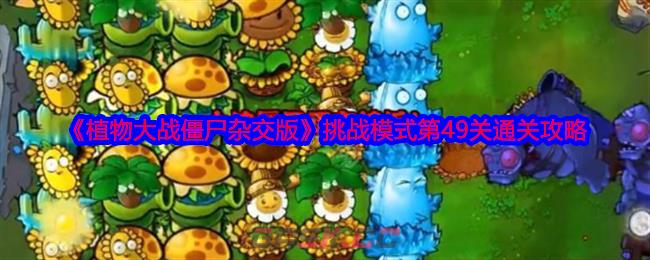 《植物大战僵尸杂交版》挑战模式第49关通关攻略-第1张-手游攻略-GASK