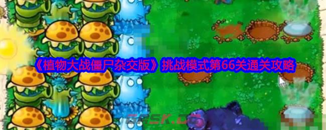 《植物大战僵尸杂交版》挑战模式第66关通关攻略