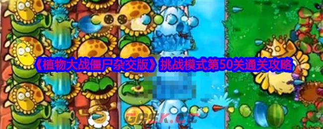 《植物大战僵尸杂交版》挑战模式第50关通关攻略-第1张-手游攻略-GASK