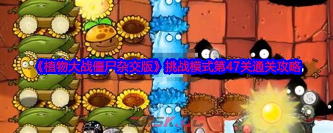 《植物大战僵尸杂交版》挑战模式第47关通关攻略-第1张-手游攻略-GASK