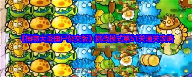 《植物大战僵尸杂交版》挑战模式第51关通关攻略-第1张-手游攻略-GASK