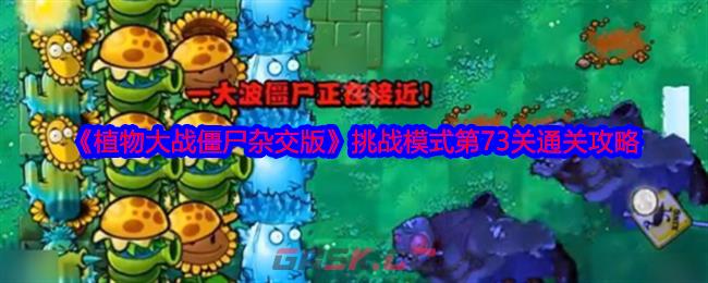 《植物大战僵尸杂交版》挑战模式第73关通关攻略