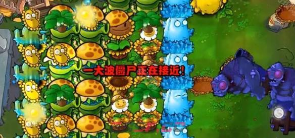 《植物大战僵尸杂交版》挑战模式第49关通关攻略-第6张-手游攻略-GASK