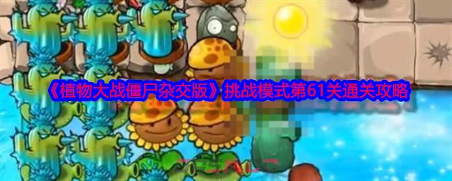 《植物大战僵尸杂交版》挑战模式第61关通关攻略-第1张-手游攻略-GASK