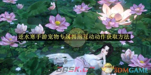 《逆水寒手游》宠物专属拥抱互动动作获取方法-第1张-手游攻略-GASK