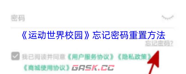 《运动世界校园》忘记密码重置方法