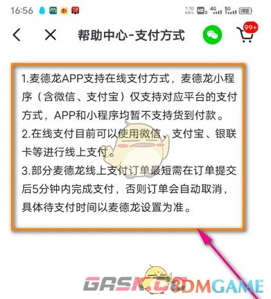 《麦德龙》支持支付方式介绍-第5张-手游攻略-GASK