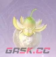 《无限暖暖》日光果获取方法-第2张-手游攻略-GASK