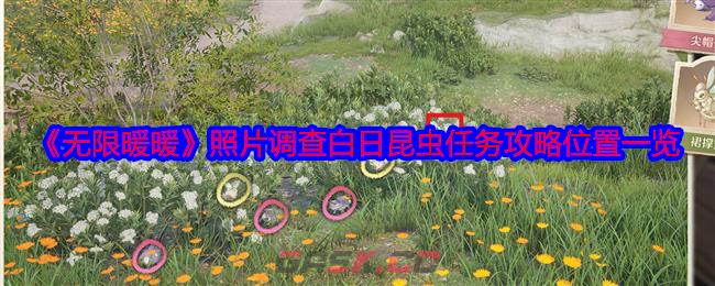《无限暖暖》照片调查白日昆虫任务攻略位置一览-第1张-手游攻略-GASK