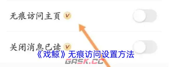 《戏鲸》无痕访问设置方法-第1张-手游攻略-GASK