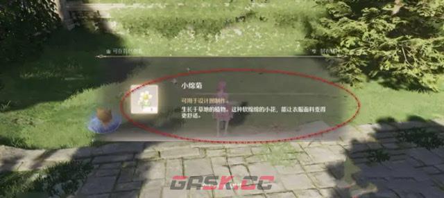 《无限暖暖》小棉菊采集攻略-第3张-手游攻略-GASK