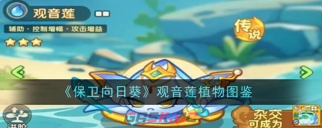 《保卫向日葵》观音莲植物图鉴-第1张-手游攻略-GASK