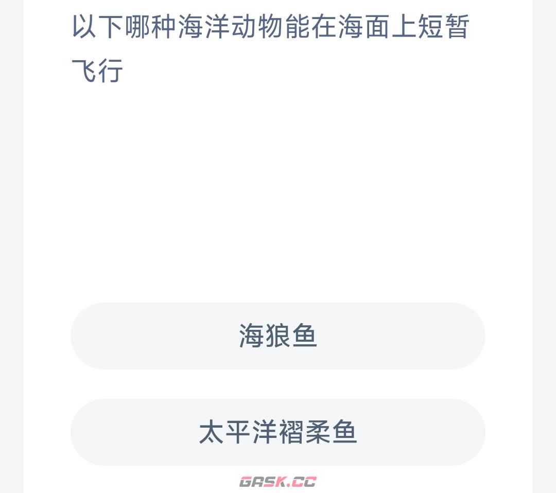 以下哪种海洋动物能在海面上短暂飞行-第2张-手游攻略-GASK