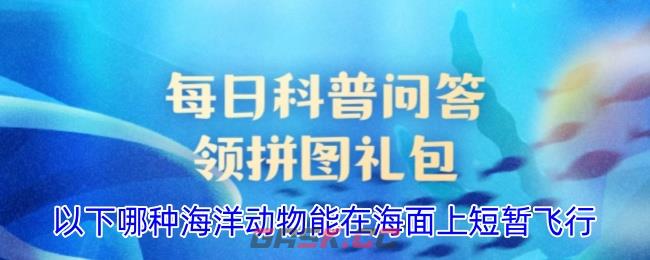 以下哪种海洋动物能在海面上短暂飞行-第1张-手游攻略-GASK