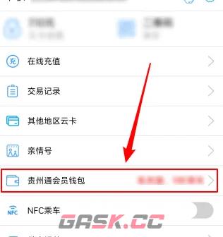《贵州通》开通会员钱包方法-第3张-手游攻略-GASK