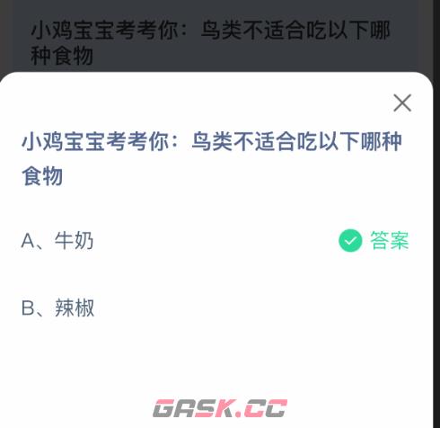 小鸡宝宝考考你：鸟类不适合吃以下哪种食物-第2张-手游攻略-GASK