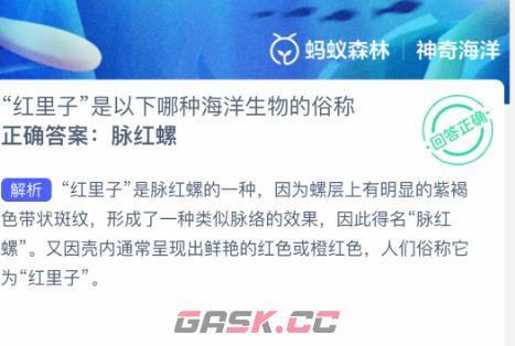 “红里子”是以下哪种海洋生物的俗称-第3张-手游攻略-GASK