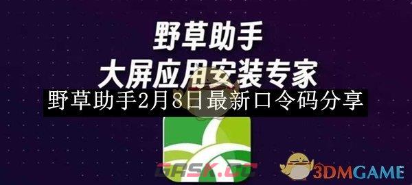 《野草助手》2月8日最新口令码分享