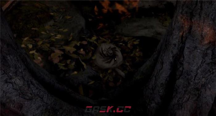 《天国：拯救2》布伦瑞克的板甲护袖获取位置介绍-第2张-单机攻略-GASK