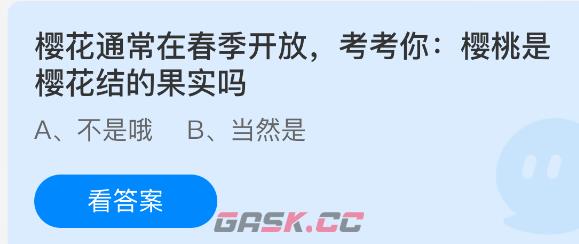 樱花通常在春季开放，考考你樱桃是樱花结的果实吗-第1张-手游攻略-GASK