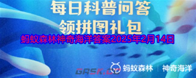 以下哪种蟹有着长长的腿、尖尖的头和囧囧的脸