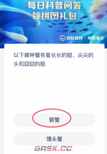 以下哪种蟹有着长长的腿、尖尖的头和囧囧的脸-第2张-手游攻略-GASK