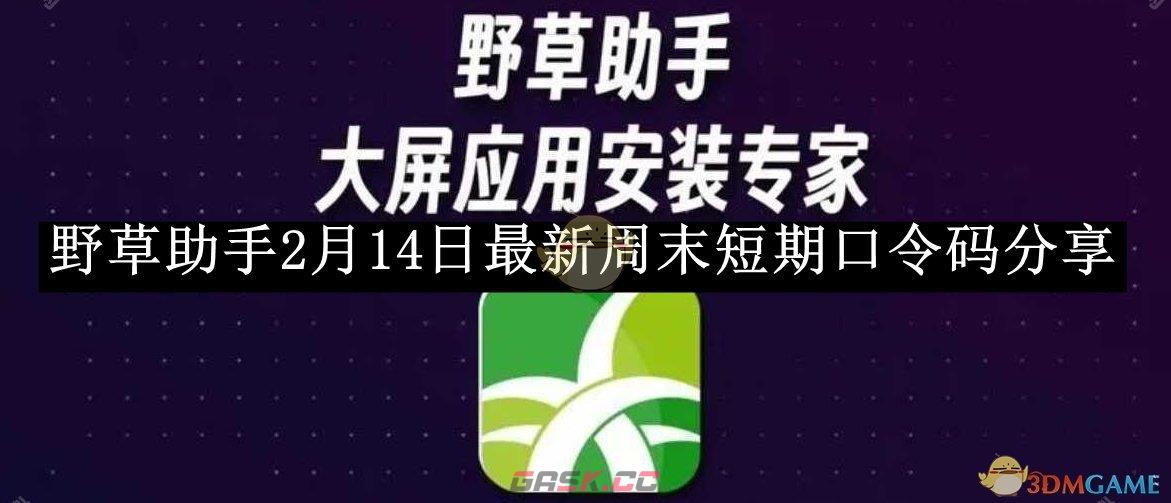 《野草助手》2月14日最新周末短期口令码分享-第1张-手游攻略-GASK