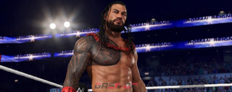 《WWE 2K25》支持语言介绍-第1张-单机攻略-GASK
