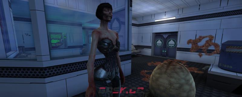 《网络奇兵2重制版》游戏游玩平台介绍-第1张-单机攻略-GASK