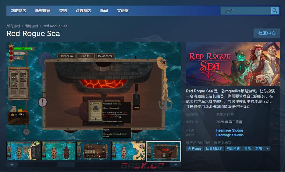 《Red Rogue Sea》下载安装教程介绍-第2张-单机攻略-GASK
