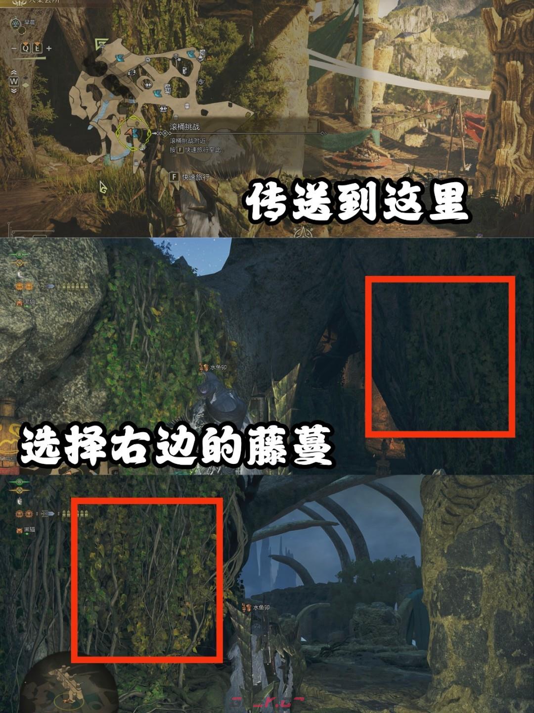 《怪物猎人：荒野》巨大柔毛秧鸡具体位置介绍-第2张-单机攻略-GASK