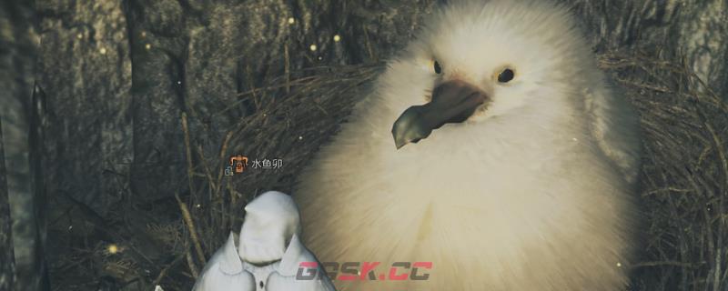 《怪物猎人：荒野》巨大柔毛秧鸡具体位置介绍-第1张-单机攻略-GASK