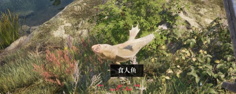 《上古卷轴4：湮灭重制版》任务避坑指南分享