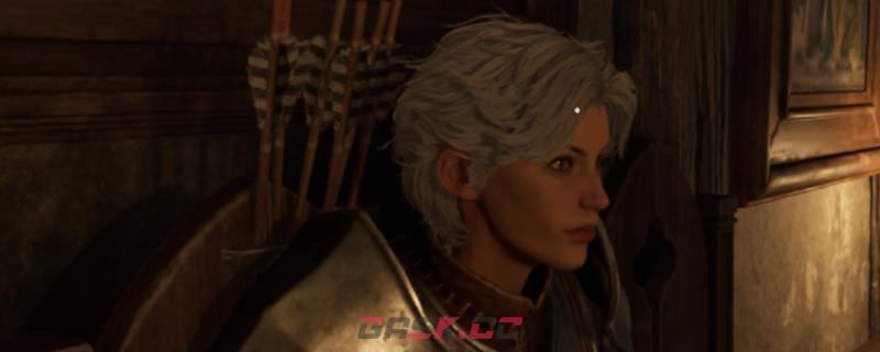 《上古卷轴4：湮灭重制版》英姿飒爽姐姐捏脸分享