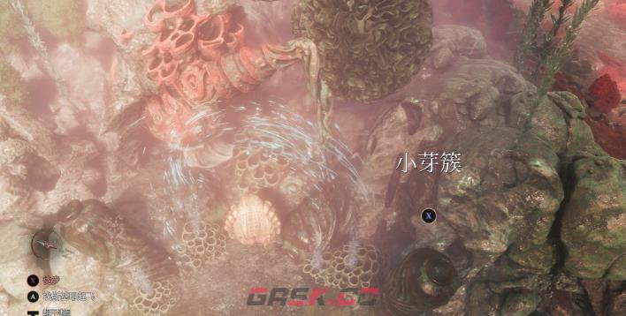 《光与影：33号远征队》白色经怪芽簇支线攻略分享-第3张-单机攻略-GASK