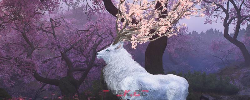《刺客信条：影》全传奇墨绘位置介绍-第1张-单机攻略-GASK