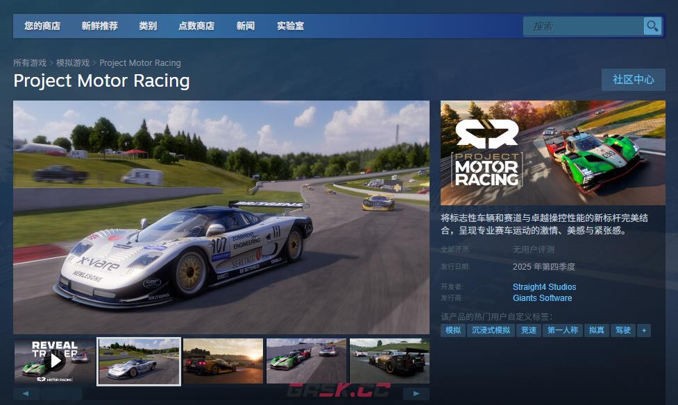 《Project Motor Racing》游戏下载网址介绍-第2张-单机攻略-GASK