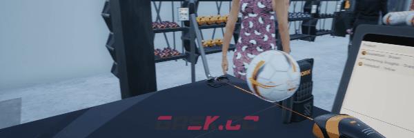 《体育用品商店》游戏特色内容介绍-第6张-单机攻略-GASK